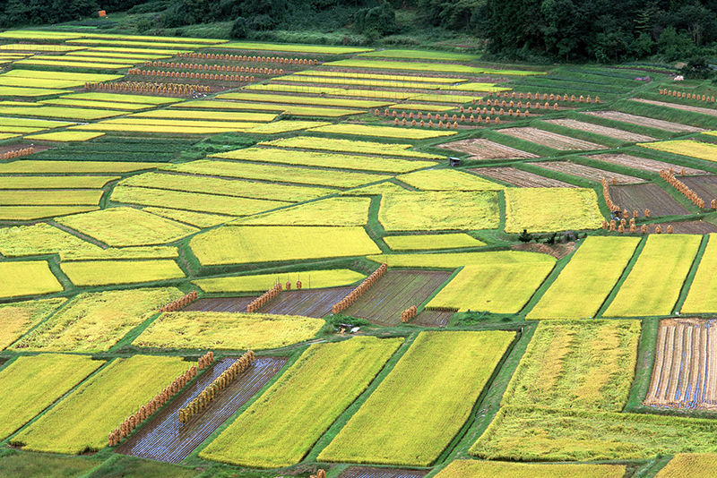 章貢區(qū)2015年農(nóng)業(yè)綜合開(kāi)發(fā)土地治理項(xiàng)目