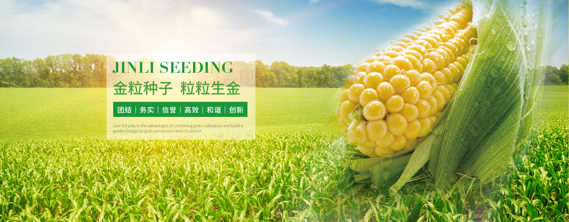金粒種業