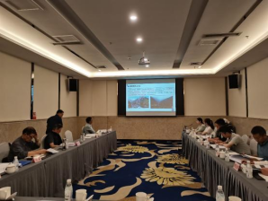 四川省《G4218線康定榆林至新都橋高速公路川交總包部施工安全總體風險評估報告》順利通過專家評審
