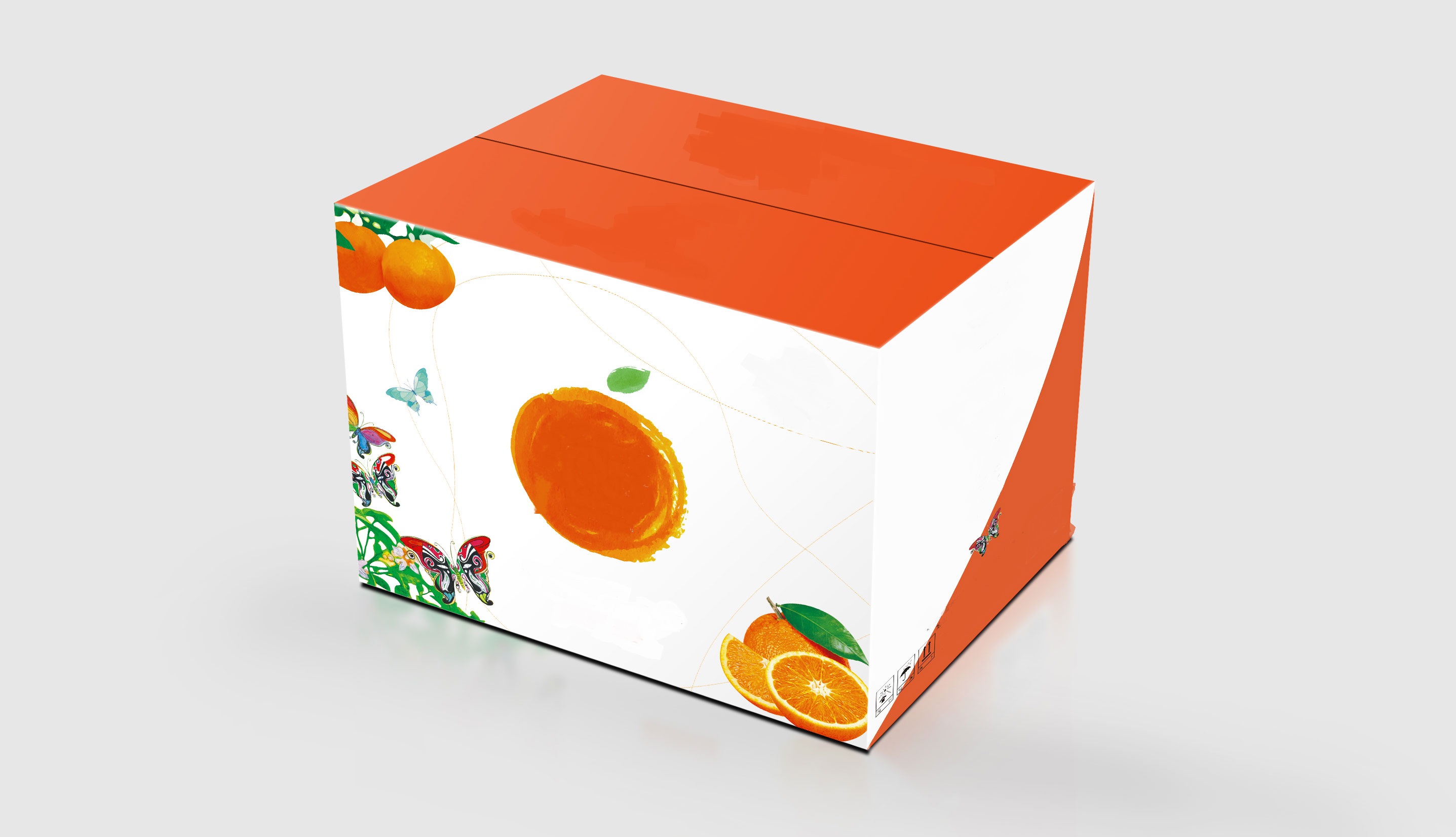 水果彩箱