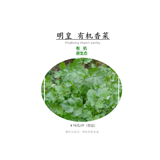 明皇有機(jī)香菜
