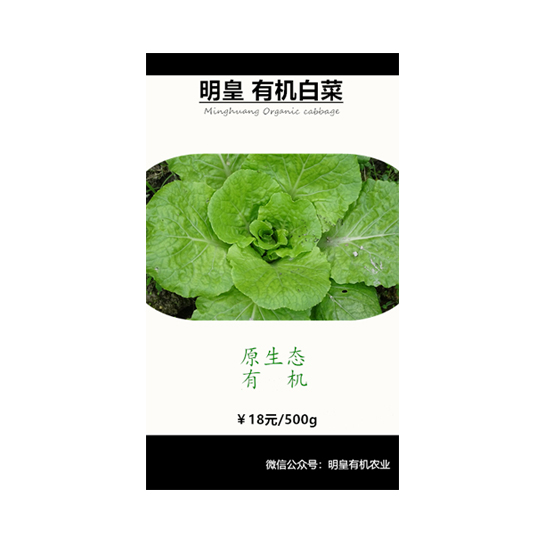 明皇有機(jī)白菜