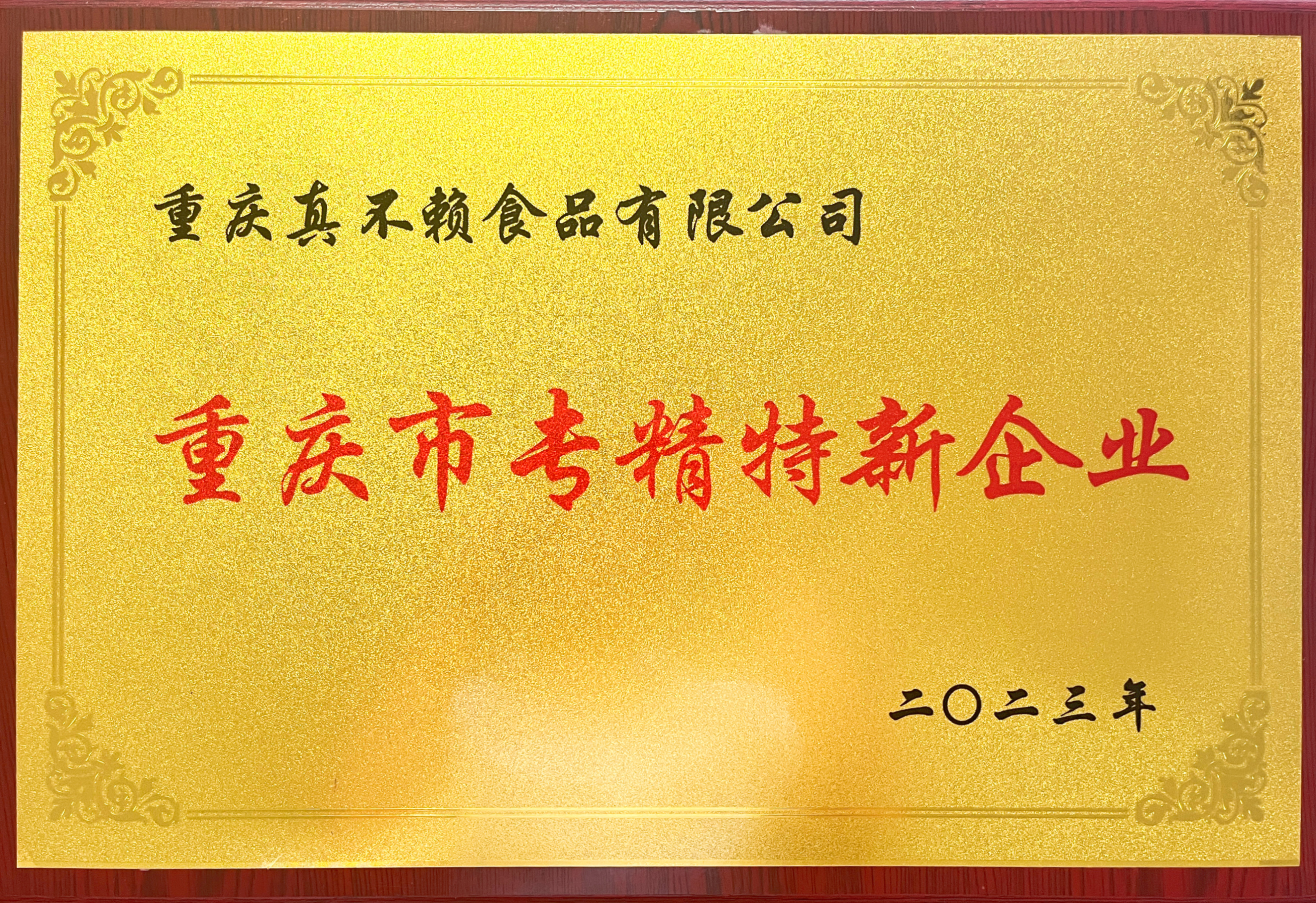 重慶市專精特新企業(yè)