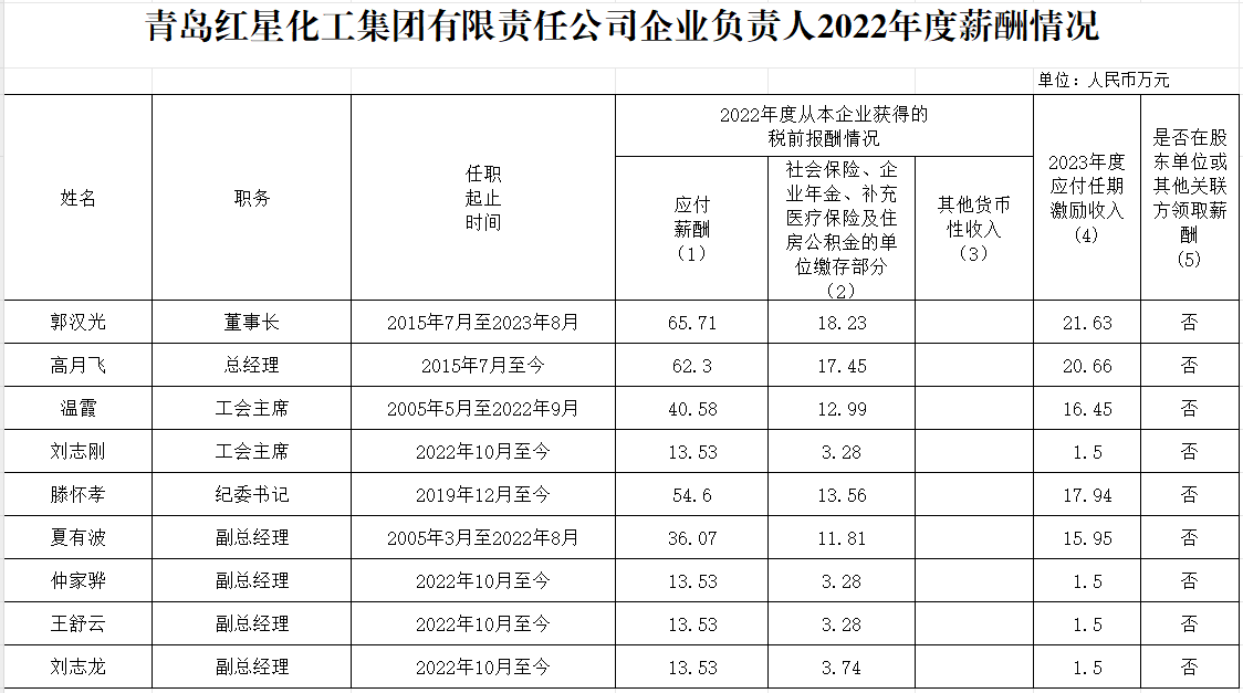 青島紅星化工集團有限責任公司企業(yè)負責人2022年度薪酬情況