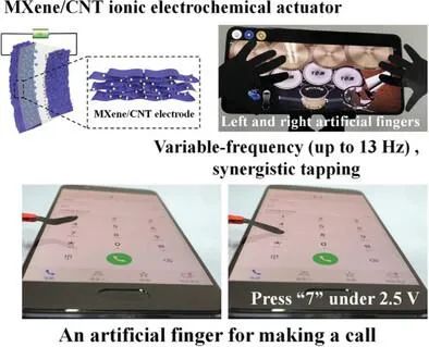 AFM：用于仿生軟機(jī)器人應(yīng)用的高性能 MXene/碳納米管電化學(xué)致動(dòng)器