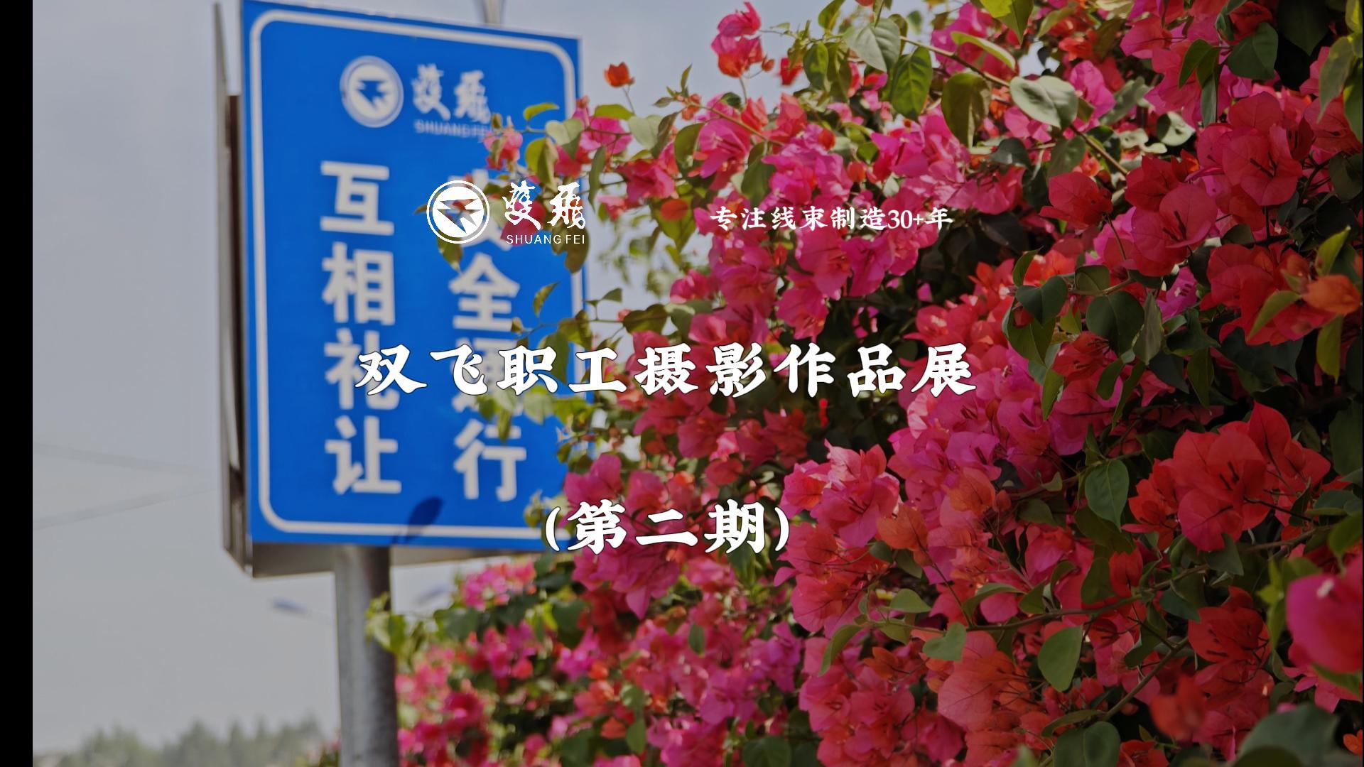 雙飛職工攝影作品展（第二期）來(lái)啦！
