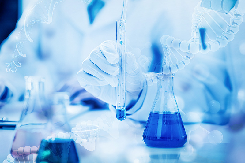 Congratulations on the opening of the website of Chongqing Asincan Biotech Co.,Ltd.!