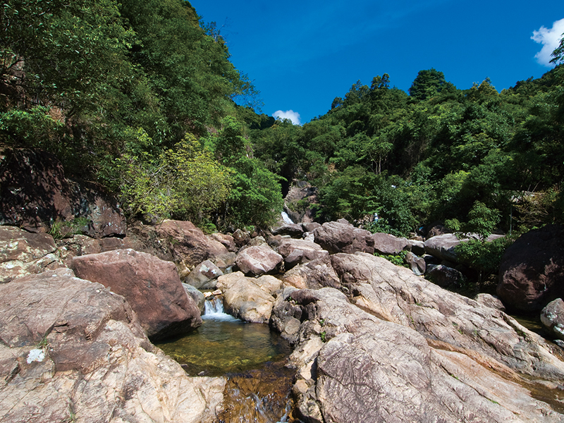 滇西北至廣東特高壓直流輸電工程對廣東九洞森林公園生態(tài)影響評價(jià)