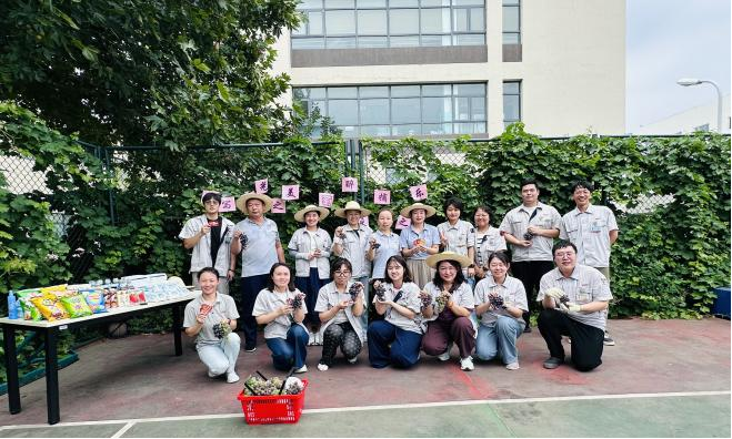 “葡”写时光之美，“萄”醉采摘之乐