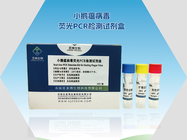 小鹅瘟病毒荧光PCR检测试剂盒