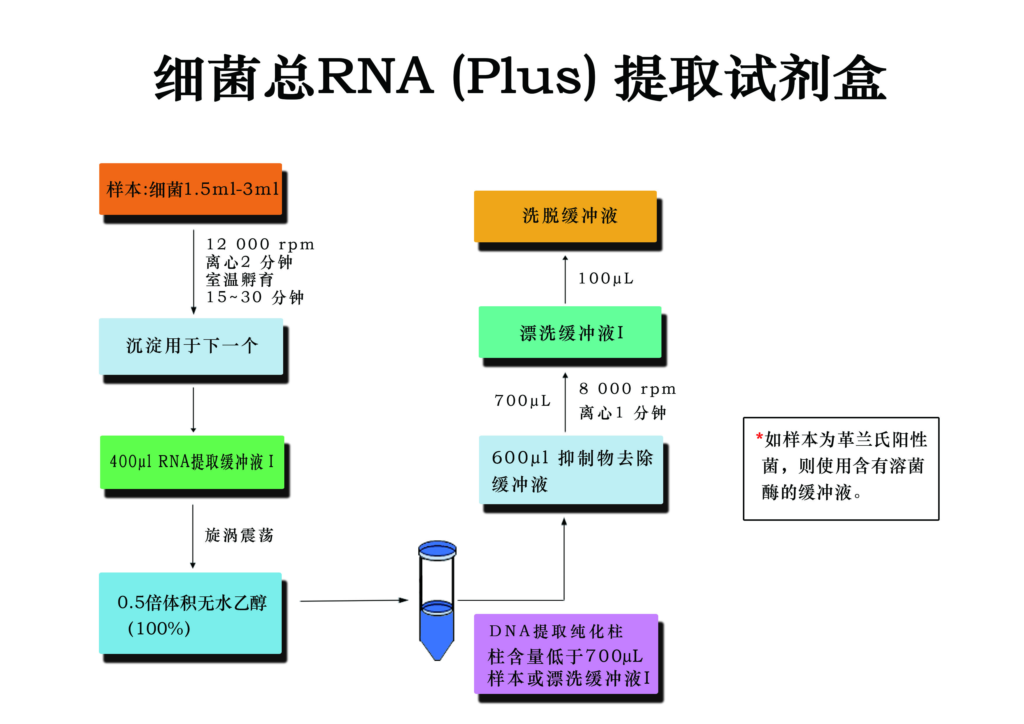 細菌總RNA(Plus)提取試劑盒流程圖