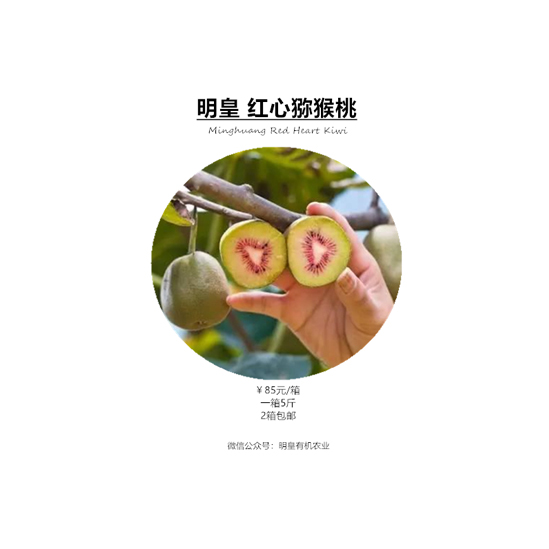 明皇紅心獼猴桃