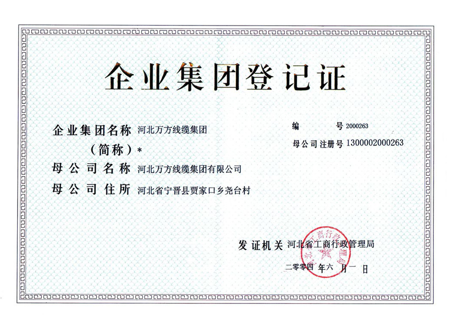 企業集團登記證