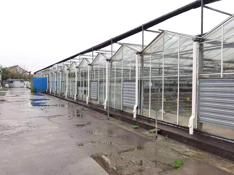 生物蛋白系列肥料的環保優勢與可持續發展