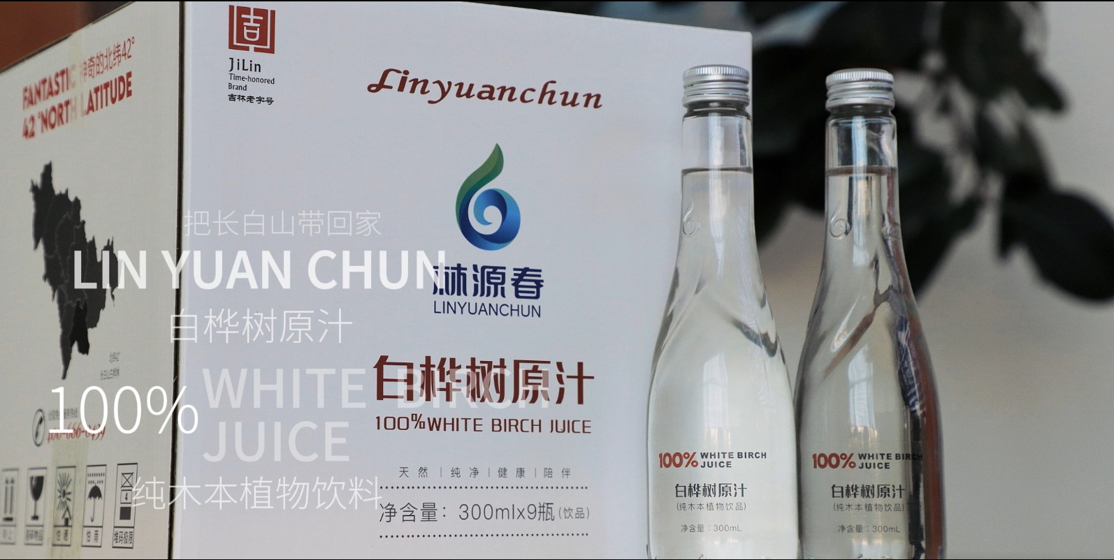 林源春白樺樹(shù)白樺原汁飲料