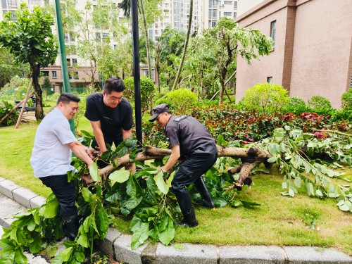 榮萬家湛江公司守護家園，逆風而上戰摩羯！