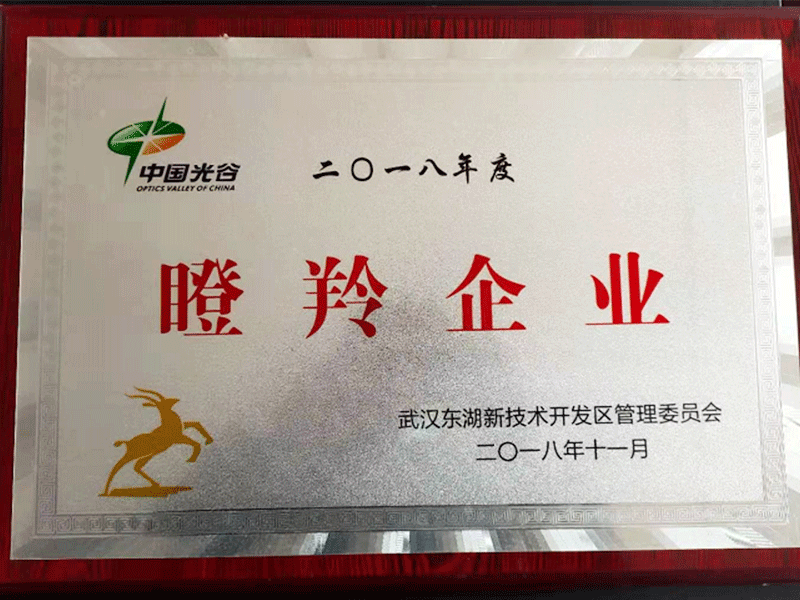 瞪羚企業