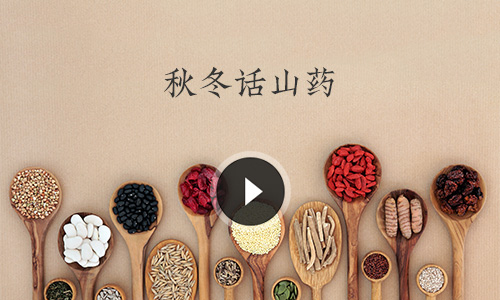 秋冬話山藥
