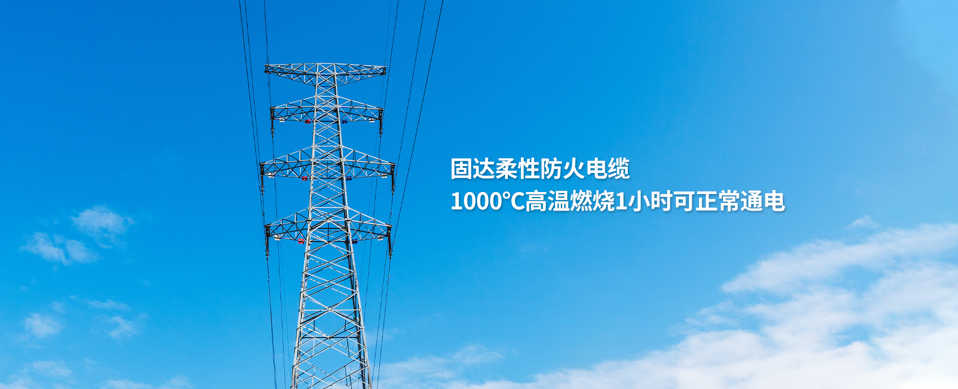 国产性爱麻豆专区電纜