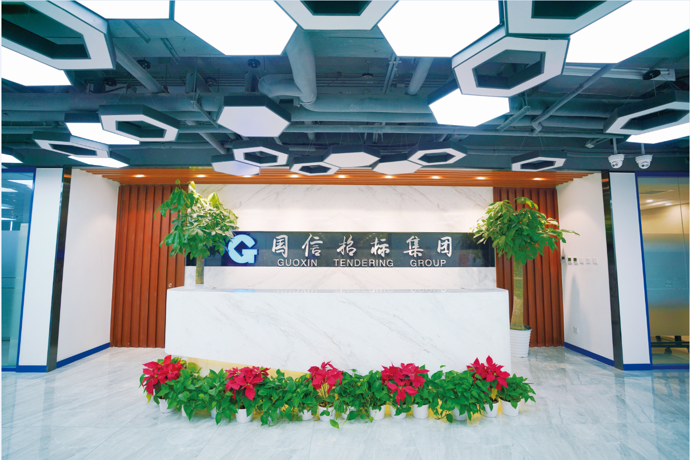  國(guó)信招標(biāo)集團(tuán)股份有限公司 