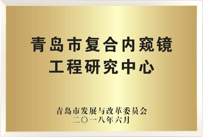 青岛市复合内窥镜工程研究中心