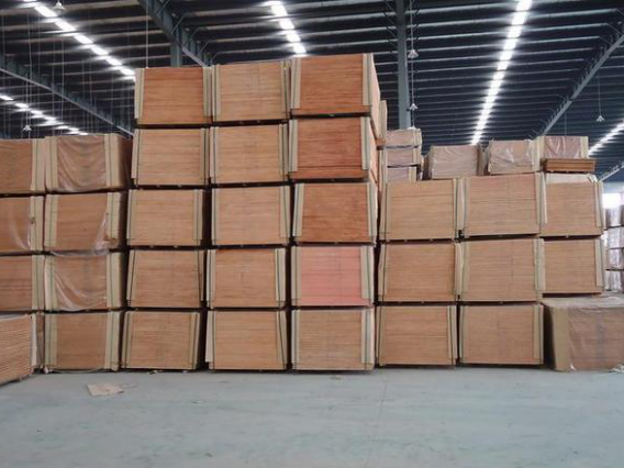 Container Plywood Container Plywood