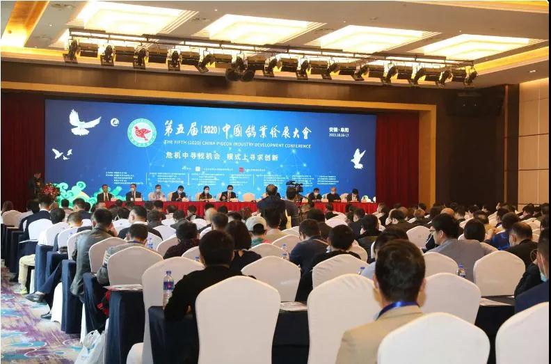第五屆（2020）中國鴿業發展大會在安徽阜陽隆重召開