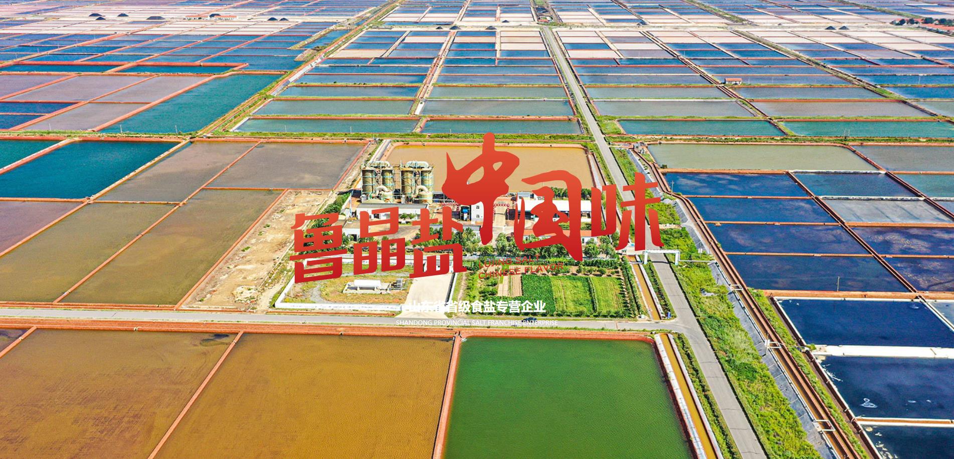 7790必发集团登录