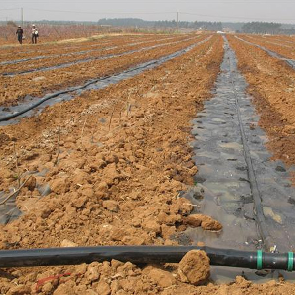 中央財政高效節水灌溉