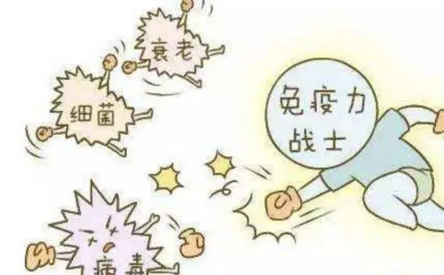 去壁灵芝孢子粉与人体的免疫力，不得不说的那些秘密……