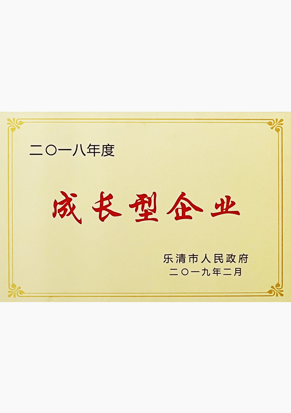 成長(zhǎng)型企業(yè)