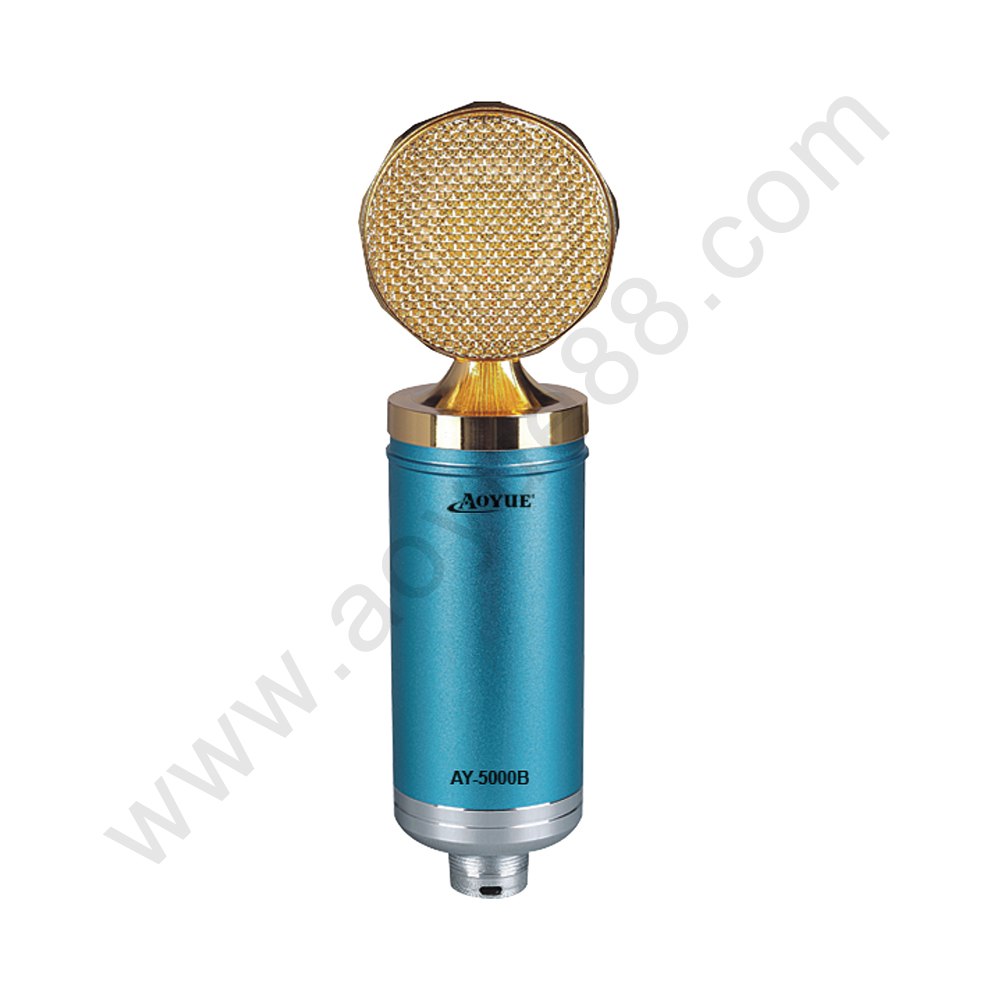 Studio  Sound mic Recording condenser microphone with Microphone Shock Mount