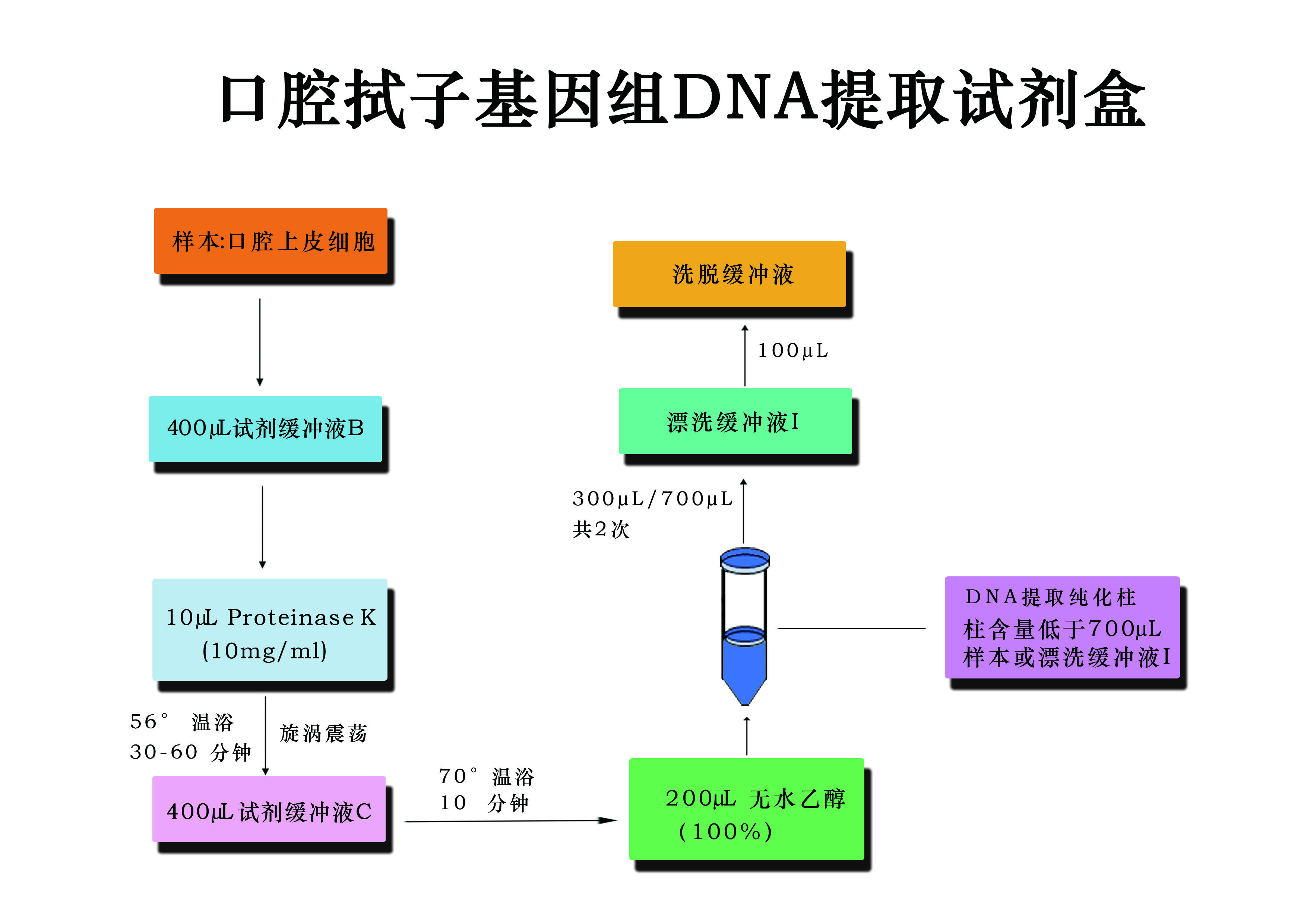 口腔式子基因組DNA提取試劑盒流程圖