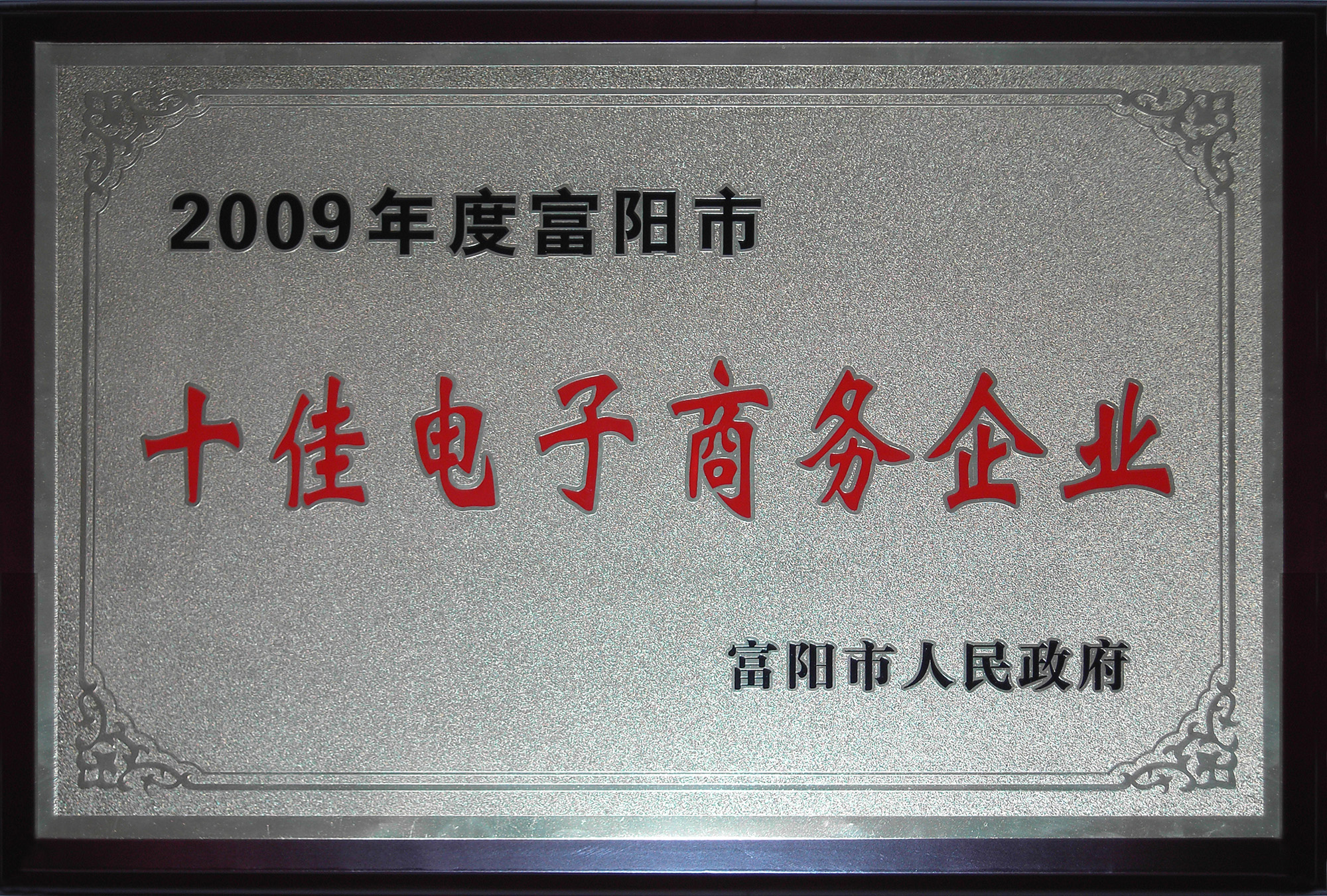 2009年十佳電子商務(wù)企業(yè)