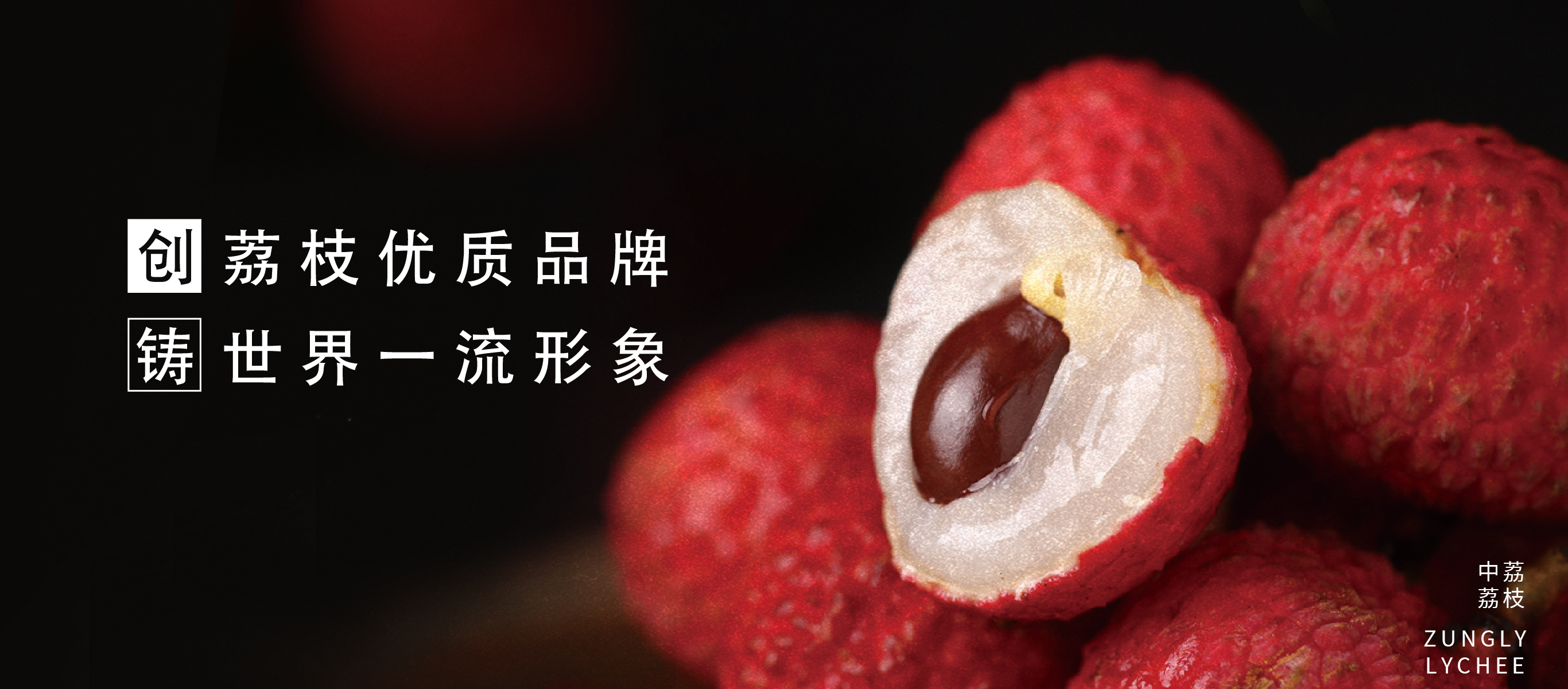 91视频软件下载污