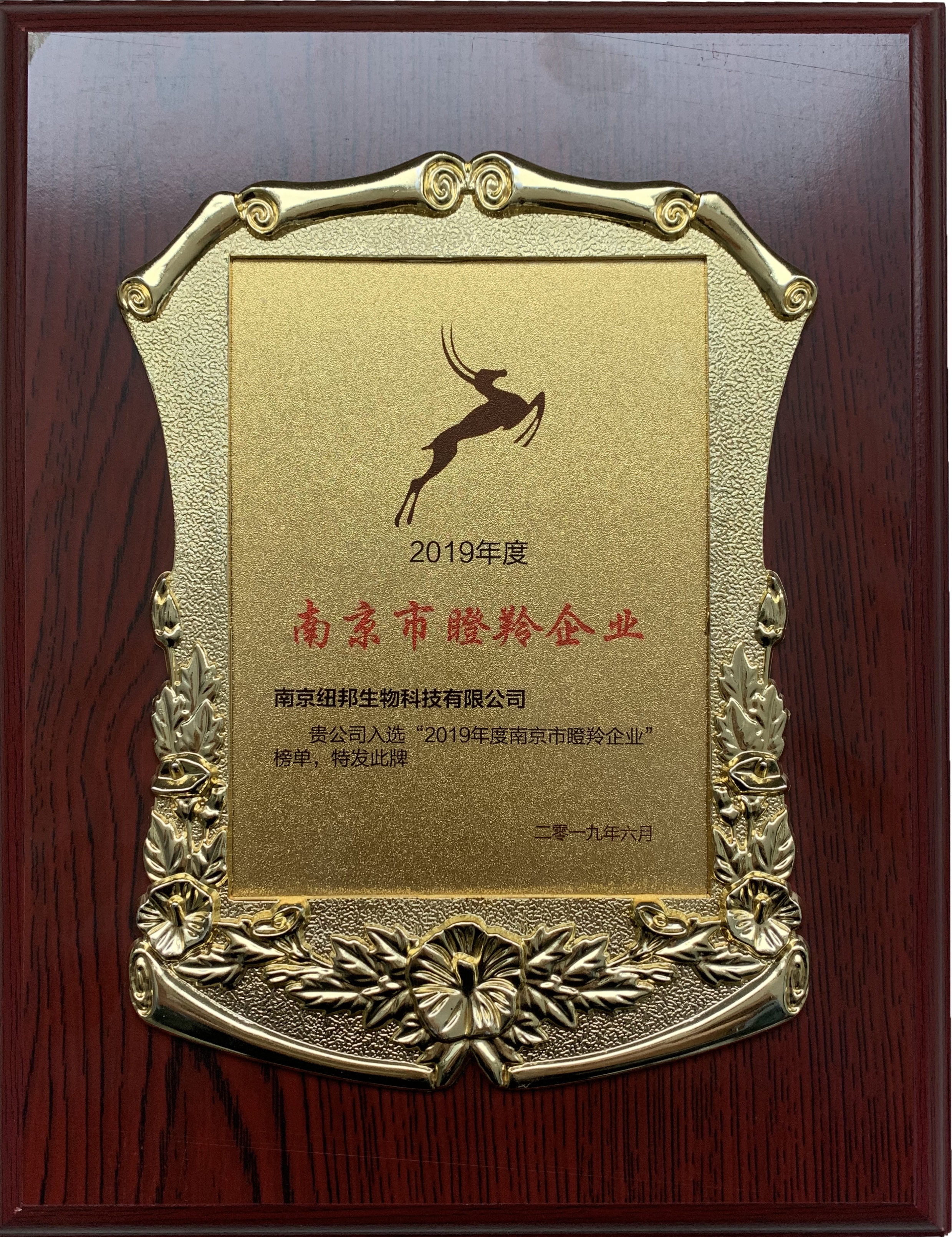 南京市瞪羚企業(yè)