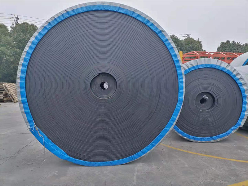 Ordinary conveyor belt