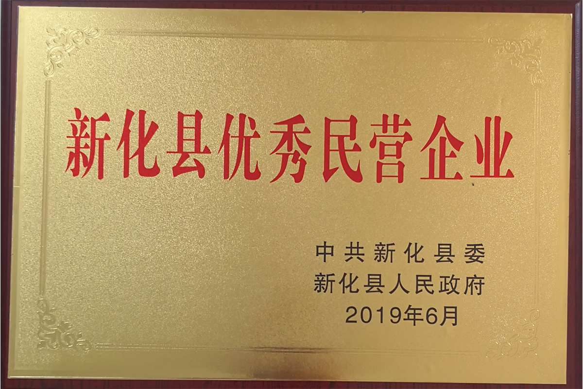 新化優秀牌