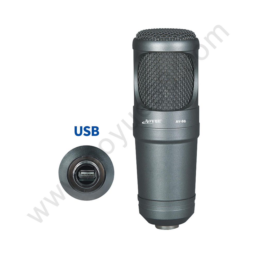 Suitable for recording broadcasting microphone professional 