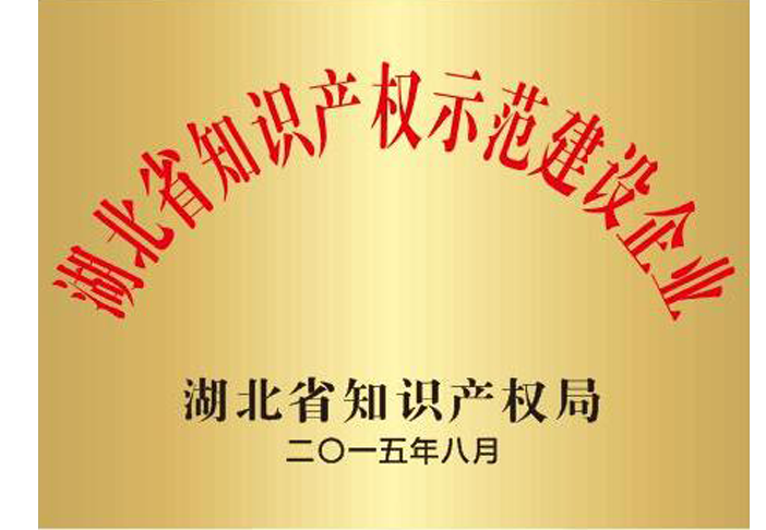 湖北省知識產權示范建設企業