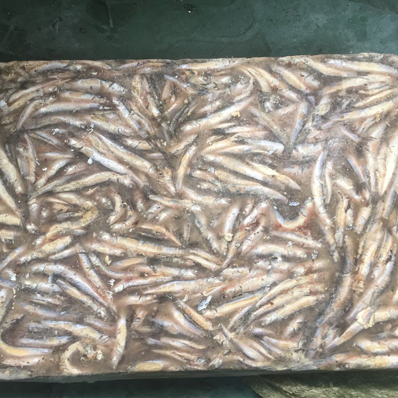 二級鳀魚