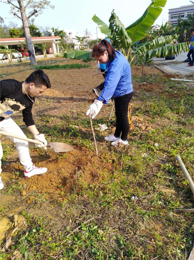 312 Tree planting activity ended successfully 312 Tree planting activity ended successfully