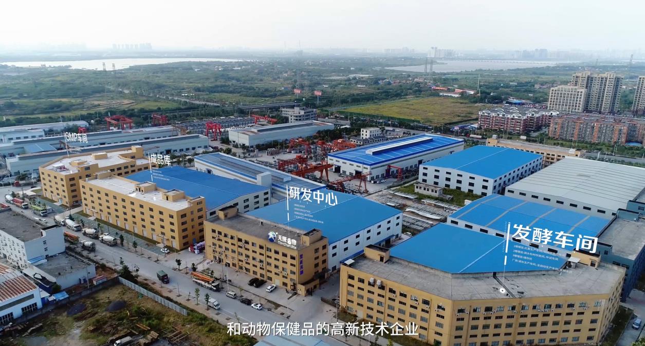 企業(yè)介紹 企業(yè)介紹