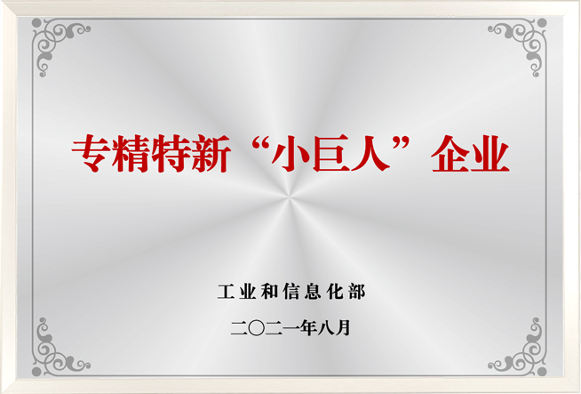 专精特新小巨人企业
