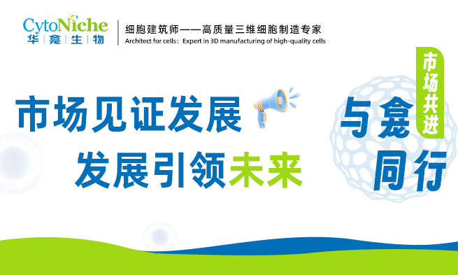 与龛同行，市场共进︱变化见证发展，发展引领未来