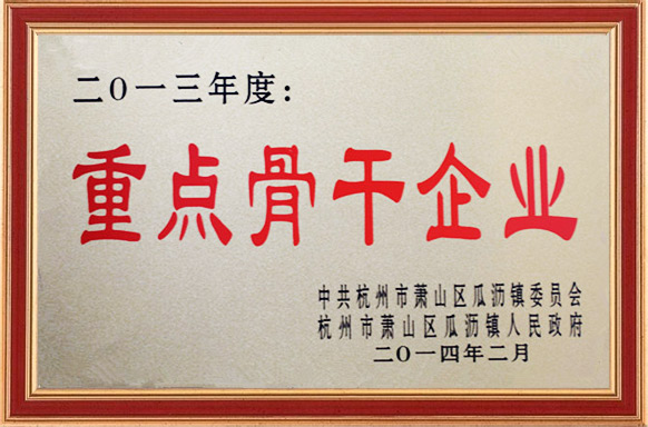 2013重點(diǎn)骨干企業(yè)