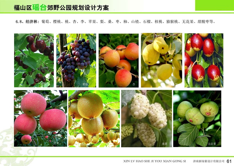 福山區(qū)瑤臺郊野公園 福山區(qū)瑤臺郊野公園