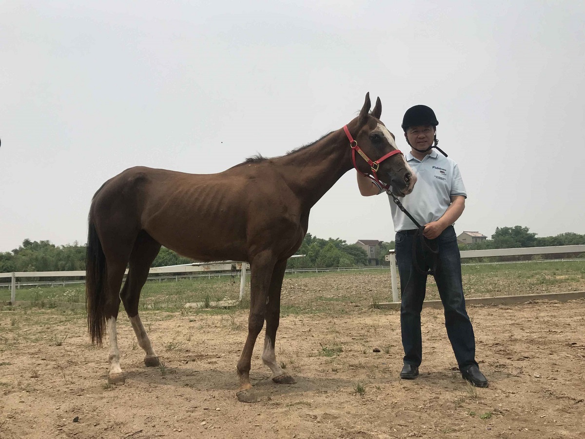 騎馬