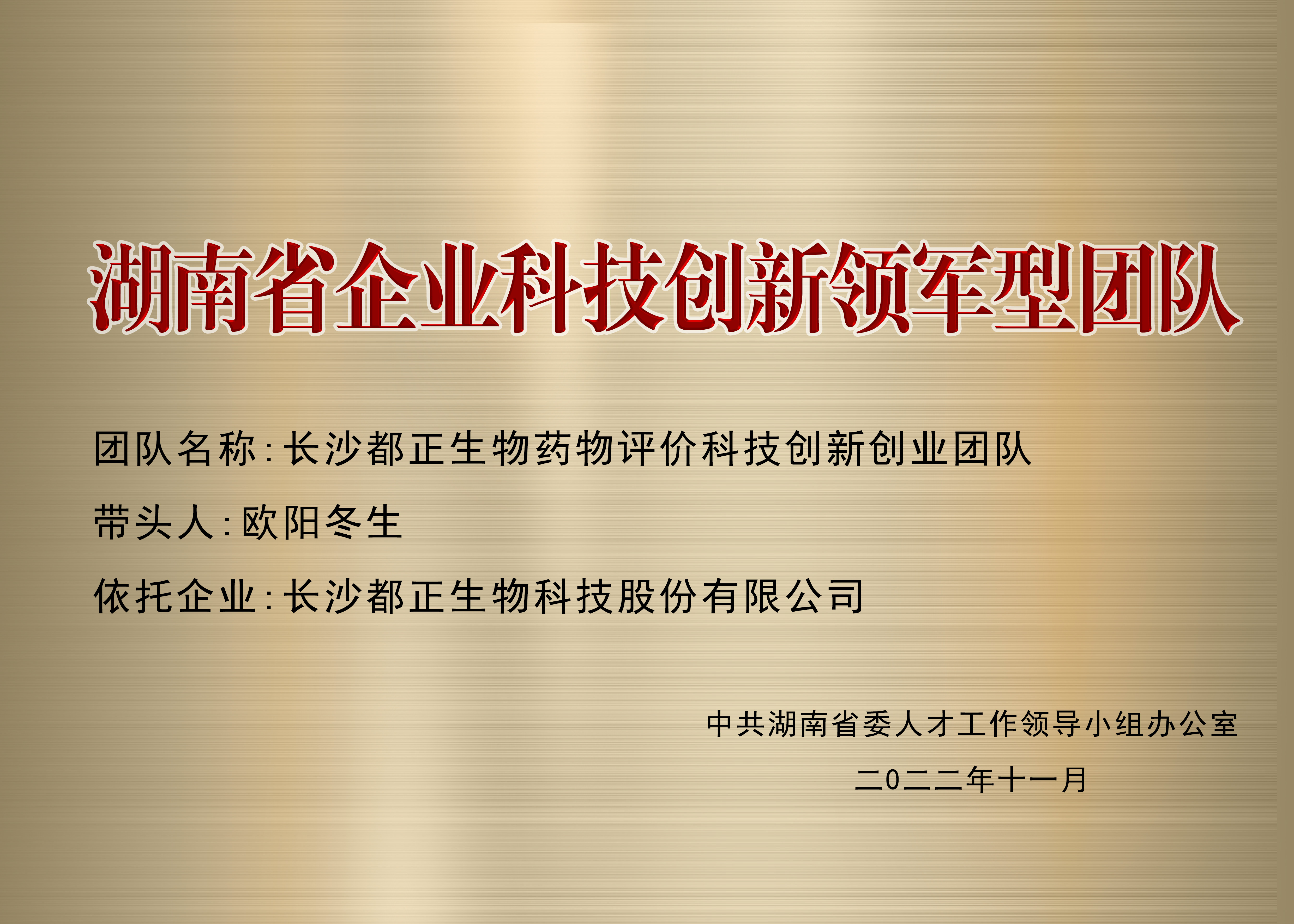 2022年 湖南省企業科技創新領軍型團隊