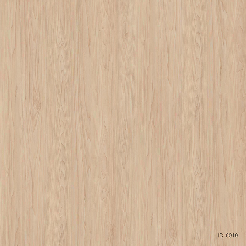 ID-6010